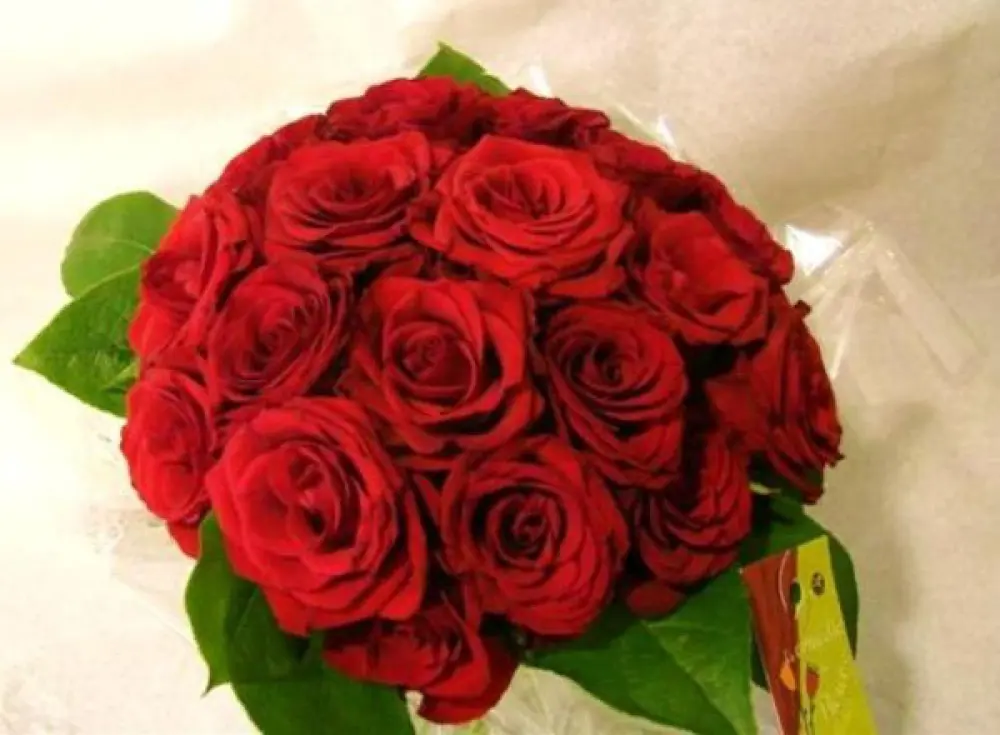 BOUQUET DE ROSES ROUGES "TOUCHE TOUCHE"