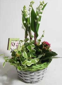 COMPOSITION PRINTANIERE DE MUGUET