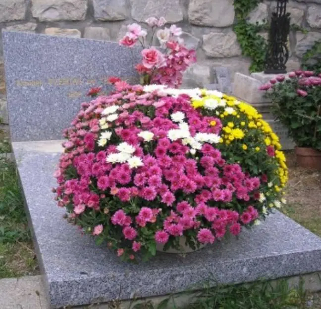 fleurissement-tombe-roses-la-comedie-des-fleurs-epinal fleurissement-tombe-roses-la-comedie-des-fleurs-epinal